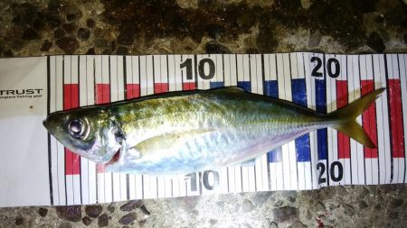 流れの中を漂わせて